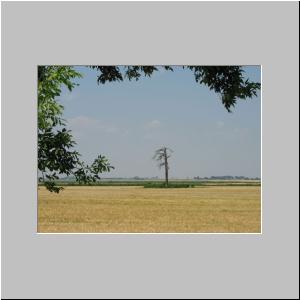 IMG_3000.JPG