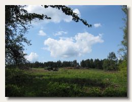 IMG_3121