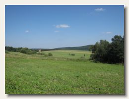 IMG_3164