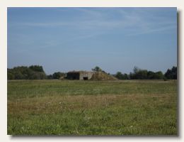 IMG_3893