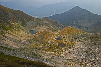 Grüne Lacke