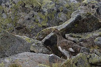 Großer Bösenstein