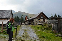 Scheibelalm