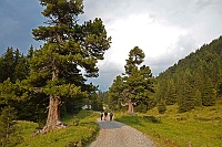 Hochentauern