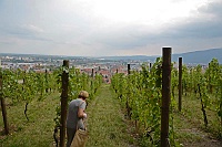 Maribor