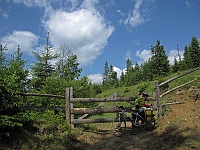 Woronienko