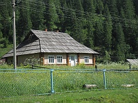 Zełene