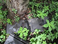 Kołomyja