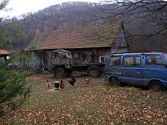 Nasiczne