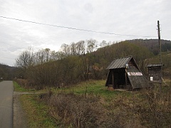 Nasiczne