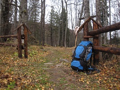 Caryńskie
