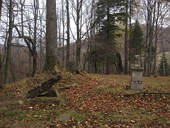 Caryńskie