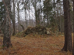 Caryńskie