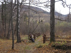 Caryńskie