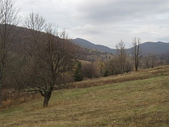 Caryńskie