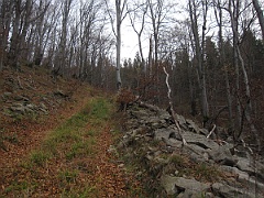 Caryńskie