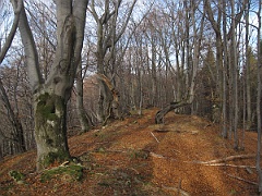 Magura Stuposiańska