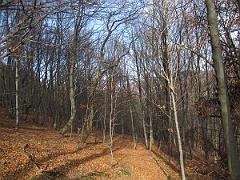 Przysłup Caryński