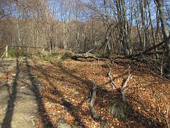 Berehy Górne