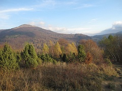 Berehy Górne