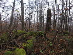 Krysowa