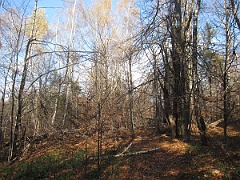 Krysowa