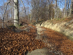 Krysowa