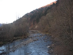 Dołżyca
