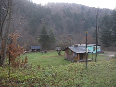 IMG 2000