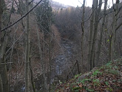 Sine Wiry