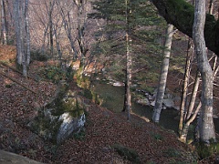 Sine Wiry