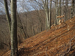IMG 2070