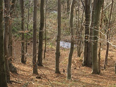 Szczycisko