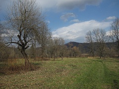 Tworylne