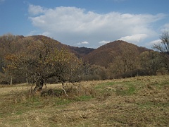 Tworylne
