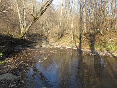 Tworylczyk