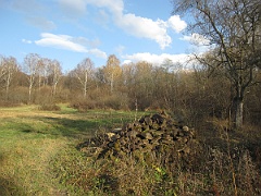Tworylczyk