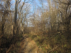 Tworylczyk