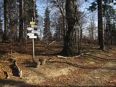 Dwernik Kamień