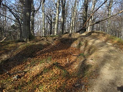 Dwernik Kamień