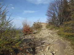 Dwernik Kamień