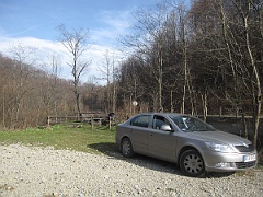Nasiczne
