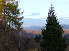 Zatwarnica