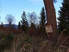 Zatwarnica