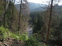 IMG 0322