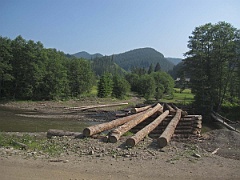 IMG 0326