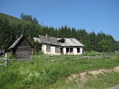 Hołoszyna