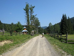 Hołoszyna