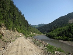IMG 0333