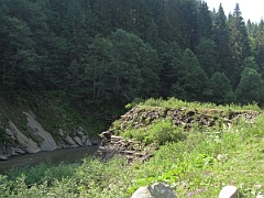 IMG 0336